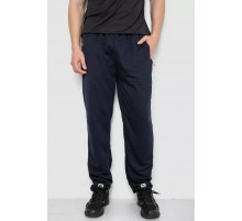 Спорт брюки мужские, цвет темно-синий, 244R403