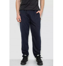 Спорт штани чоловічі, колір темно-синій, 244R403