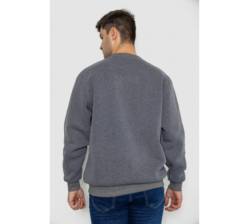 Батник чоловічий на флісі, колір сірий, 244R2556