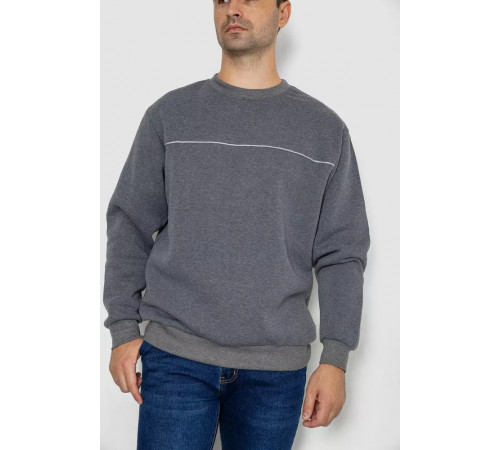 Батник чоловічий на флісі, колір сірий, 244R2556