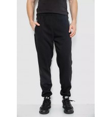 Спортивные брюки мужские на флисе, цвет черный, 244R4643