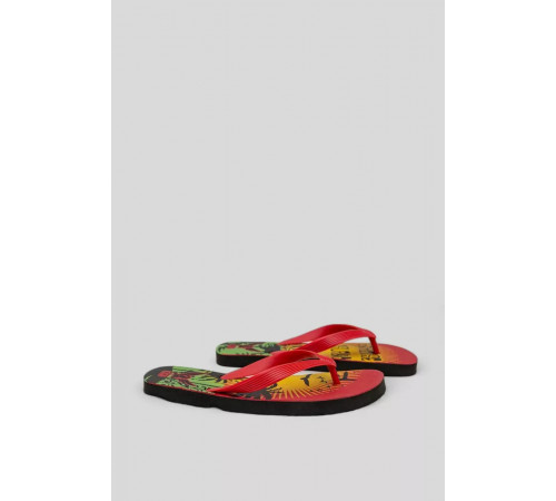 Вьетнамки мужские, цвет красный, 244R337