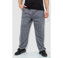 Спорт штани чоловічі, колір сірий, 244R10018
