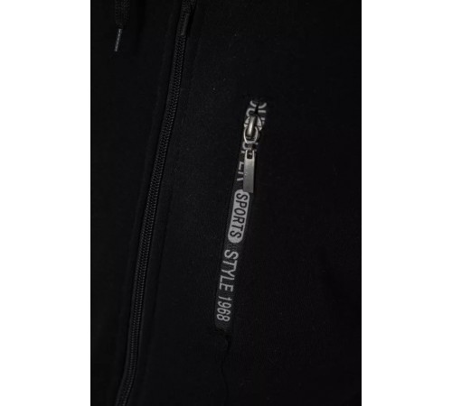Кофта мужская на флисе с капюшоном 244R2563, цвет Черный Кофта мужская на флисе с капюшоном 244R2563, цвет Черный
