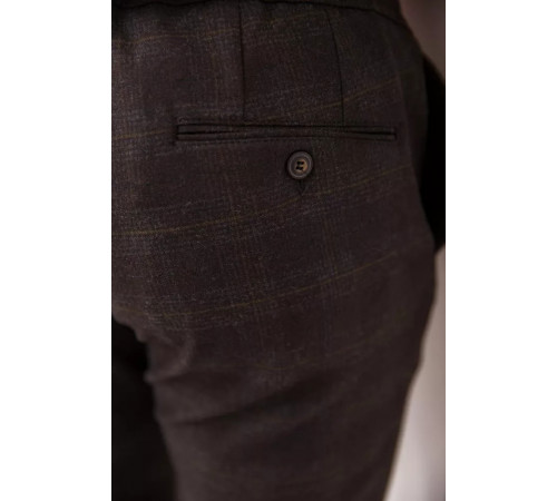 Штани чоловічі в клітку, колір коричневий, 194R2210