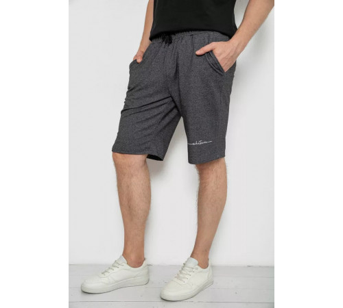 Шорты мужские, цвет грифельный, 241R1622-1.