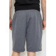 Шорты мужские, цвет серый, 244R6598