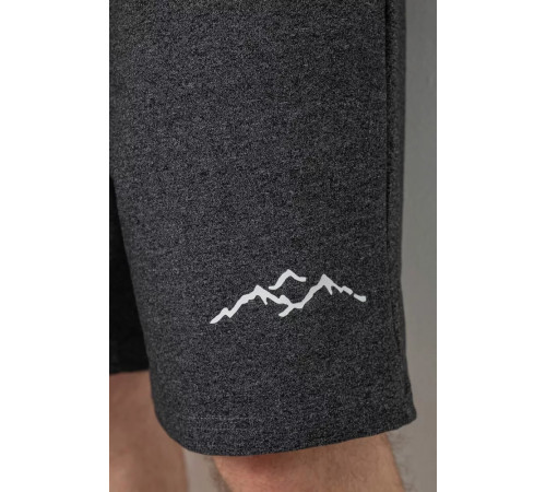 Шорты мужские, цвет грифельный, 241R16222.