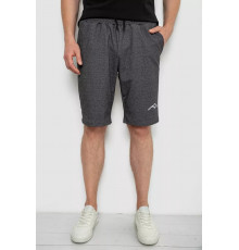 Шорты мужские, цвет грифельный, 241R16222.