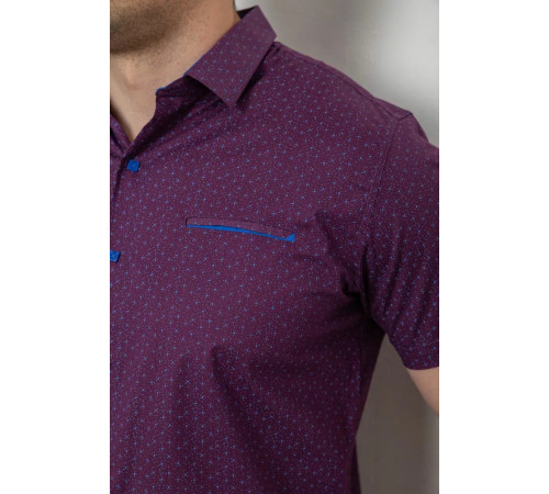 Рубашка мужская с принтом, цвет сливовый, 214R7332-1.