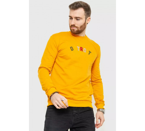 Свитшот демисезонный мужской, цвет оранжевый, 208R0204