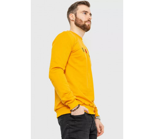 Свитшот демисезонный мужской, цвет оранжевый, 208R0204