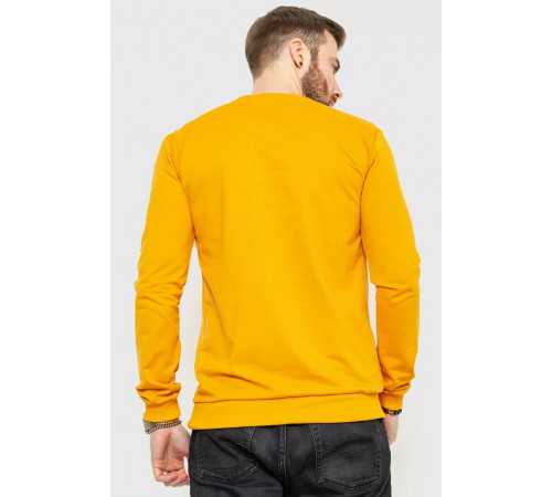 Свитшот демисезонный мужской, цвет оранжевый, 208R0204