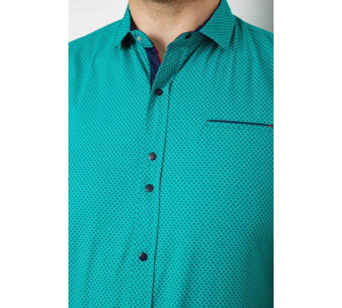 Рубашка мужская с принтом, цвет зеленый, 214RK104