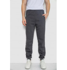 Спортивні штани чоловічі на флісі, колір темно-сірий, 244R41307