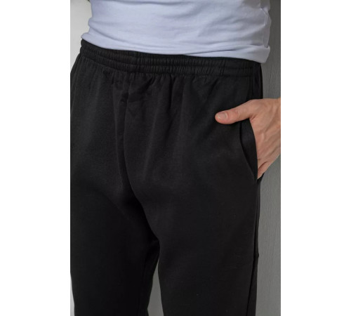 Спортивные брюки мужские на флисе, цвет черный, 244ROP09