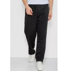 Спортивные брюки мужские, цвет черный, 244R3849