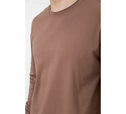 Чоловічий лонгслів однотонний, колір коричневий, 102R3308
