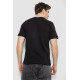 Мужская футболка с принтом, цвет черный, 241R1909