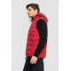 Жилетка мужская демисезонная, цвет бордовый, 244RC666