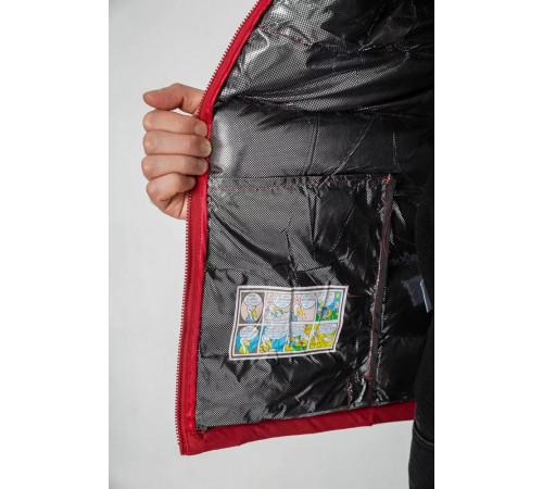 Жилетка мужская демисезонная, цвет бордовый, 244RC666