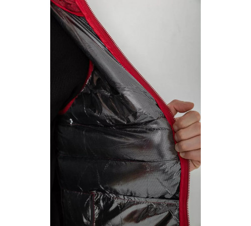 Жилетка мужская демисезонная, цвет бордовый, 244RC666