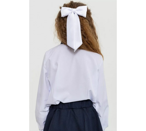 Блузка ошатна для дівчаток, колір біло-синій, 172R201-1