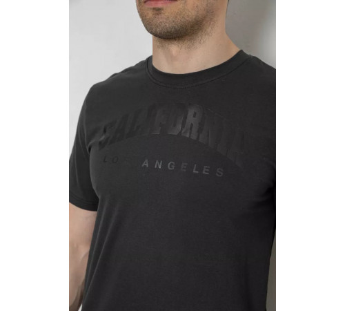 Футболка чоловіча з принтом, колір темно-сірий, 241R1908