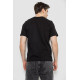 Мужская футболка с принтом, цвет черный, 241R1906