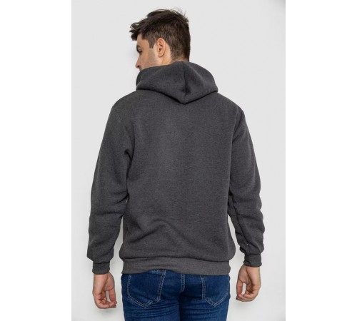 Кофта мужская на флисе с капюшоном, цвет темно-серый, 244R2559. Кофта мужская на флисе с капюшоном, цвет темно-серый, 244R2559.