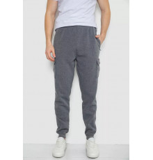 Спортивні штани чоловічі на флісі, колір сірий, 244R41207