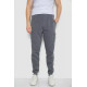 Спортивні штани чоловічі на флісі, колір сірий, 244R41207