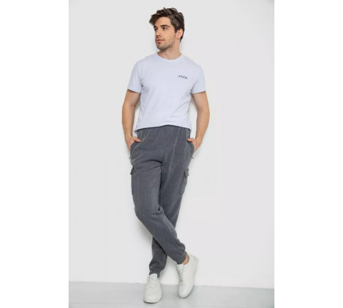 Спортивні штани чоловічі на флісі, колір сірий, 244R41207