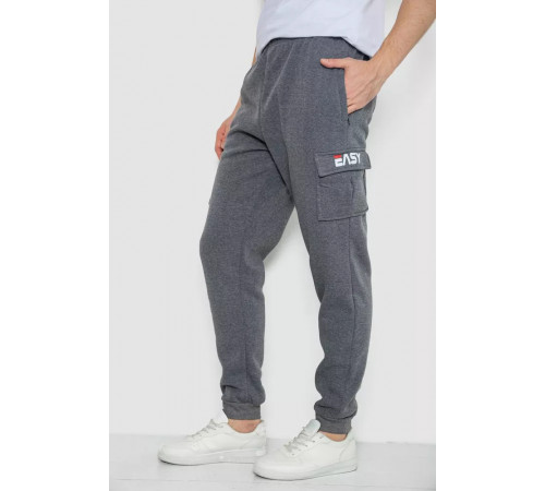 Спортивні штани чоловічі на флісі, колір сірий, 244R41207