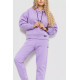 Спорт костюм жіночий на флісі, колір бузковий, 115R0493