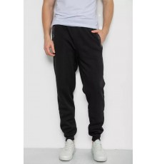 Спортивные брюки мужские на флисе, цвет черный, 244R41329