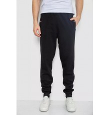 Спортивные брюки мужские на флисе, цвет черный, 244R41271