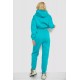 Спортивный женский костюм на флисе, цвет бирюзовый, 247R10765