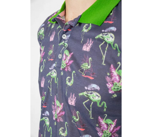 Поло чоловіче з принтом, колір сіро-зелений, 247R312