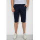 Шорты мужские, цвет синий, 244RGS64-0065