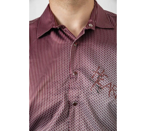 Сорочка чоловіча з принтом, колір бордовий, 214R5829
