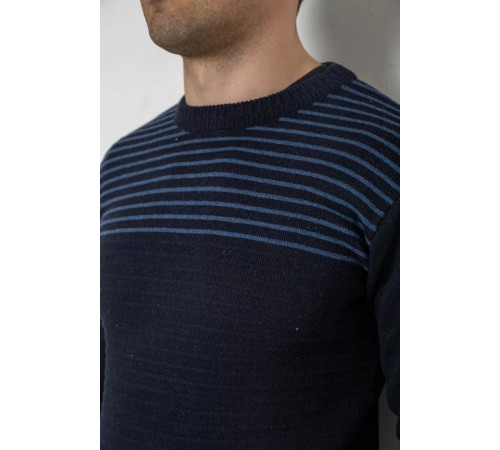 Светр чоловічий в смужку, колір темно-синій, 161R1029
