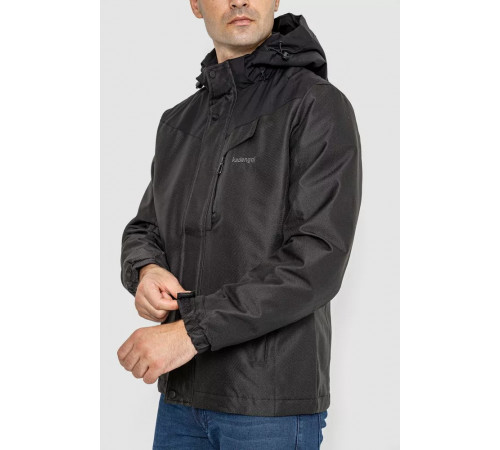 Куртка чоловіча демісезонна -1, колір чорний, 214R2012