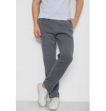 Спортивні штани чоловічі на флісі, колір сірий, 244R0025