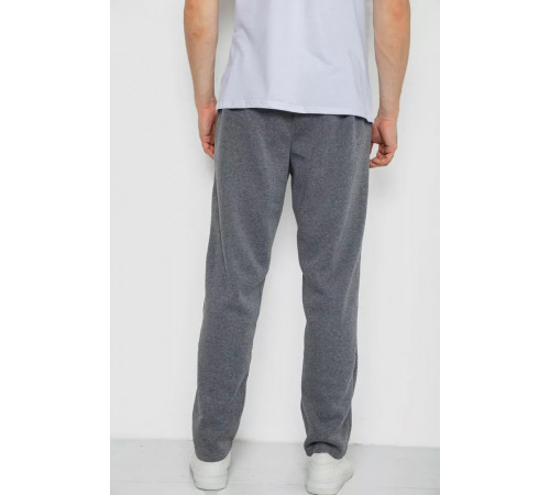 Спортивні штани чоловічі на флісі, колір сірий, 244R0025