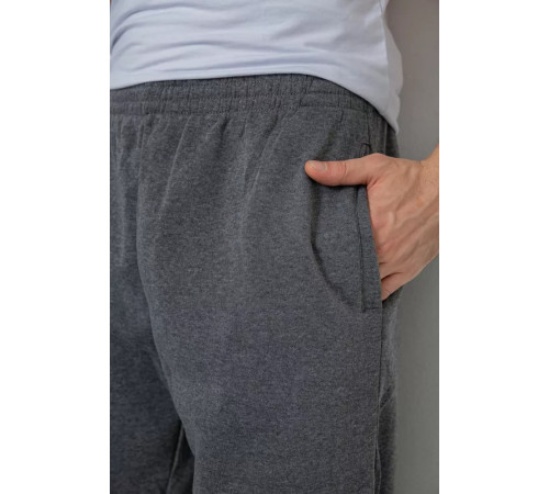 Спортивні штани чоловічі на флісі, колір сірий, 244R0025