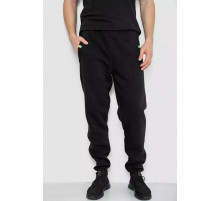 Спортивные брюки мужские на флисе, цвет черный, 244R41299