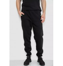 Спортивные брюки мужские на флисе, цвет черный, 244R41299