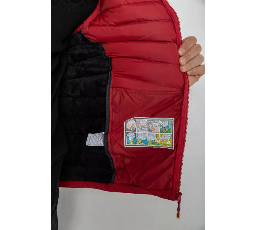 Жилетка мужская демисезонная, цвет бордовый, 244R777