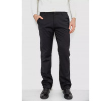 Брюки мужские классические утепленные, цвет черный, 244RFH310